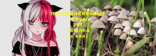 кокс Абдулино
